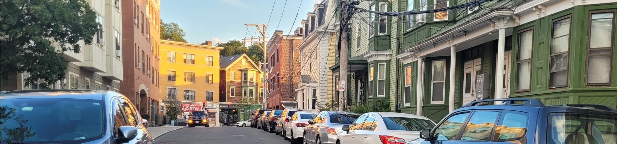 Jamaica Plain St